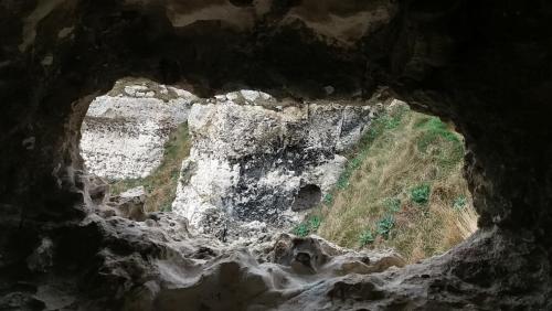 2017-10-11 13-52-09.JPG