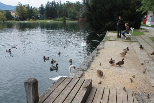 2015-10-02 12-34-48.JPG