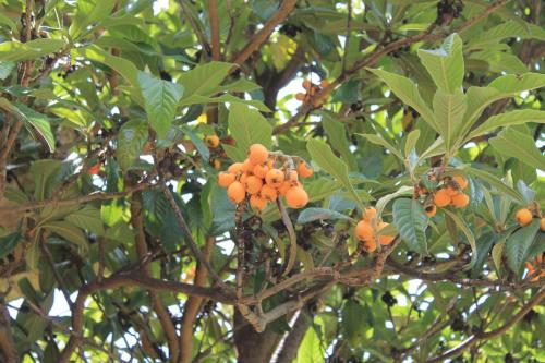 2017-06-26 13-47-59.JPG