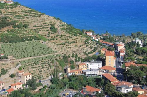 2017-06-29 19-37-19.JPG