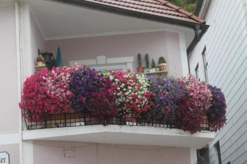 2016-09-06 19-41-40.JPG