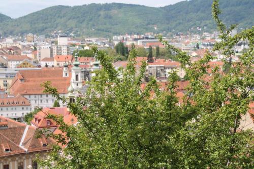 2016-04-24 12-43-11.JPG