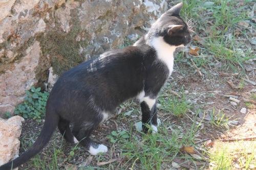 2015-09-30 15-16-39.JPG