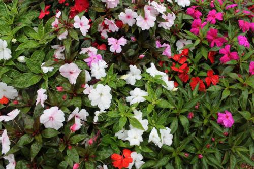 2015-09-26 17-56-53.JPG