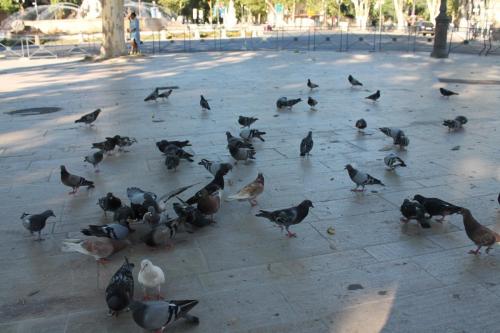 2017-06-25 20-20-14.JPG