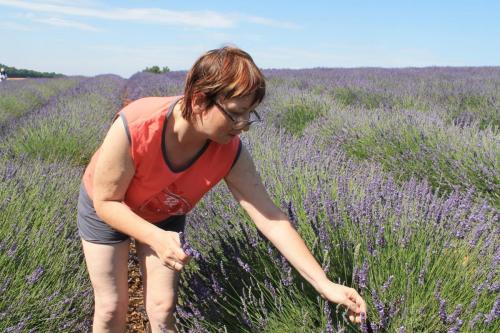 2017-06-26 12-12-33.JPG