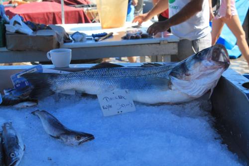 2017-06-29 11-45-38.JPG