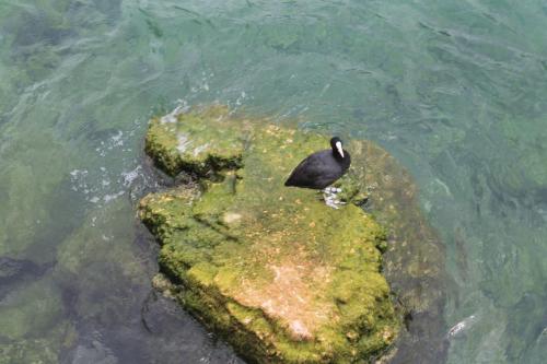 2017-06-30 14-58-20.JPG