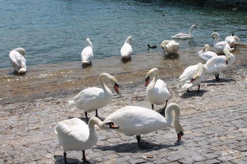 2017-06-23 14-54-55.JPG