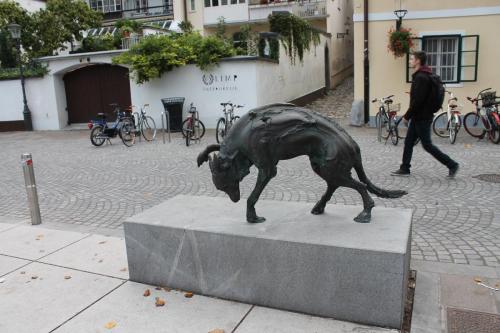 2015-10-01 19-00-37.JPG