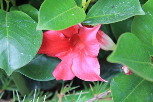 2016-04-24 13-59-16.JPG