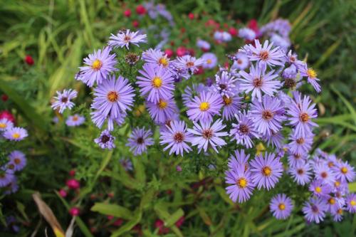 2015-10-01 17-12-26.JPG