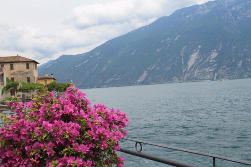 2017-06-30 16-12-10.JPG