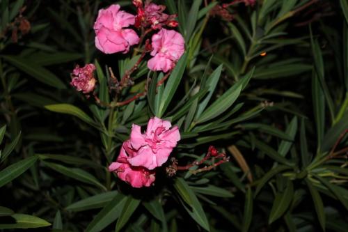 2015-09-29 23-08-37.JPG