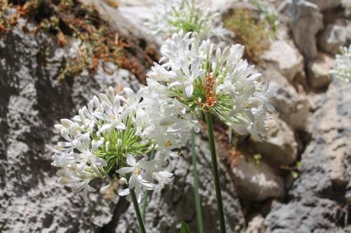 2017-06-28 11-56-03.JPG