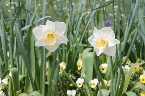 2016-04-24 12-51-21.JPG