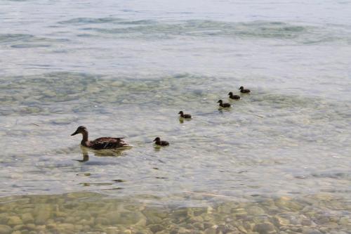 2017-06-30 11-41-11.JPG