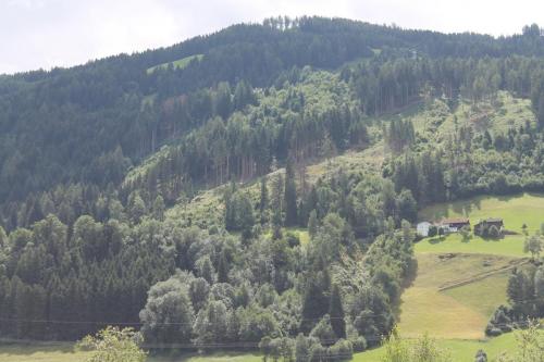 2017-07-01 12-58-04.JPG