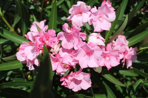 2017-06-25 11-00-00.JPG