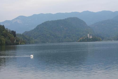 2015-10-02 12-25-51.JPG