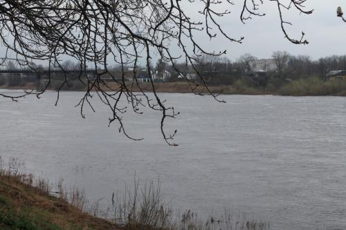 2018-04-18 13-13-52.JPG