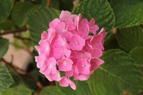 2017-06-25 15-35-13.JPG