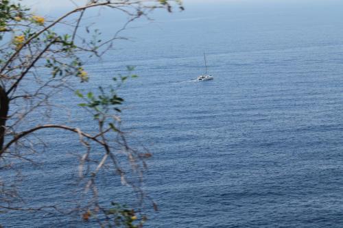 2017-06-28 13-27-12.JPG