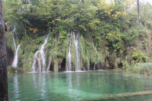 2015-09-29 14-35-48.JPG