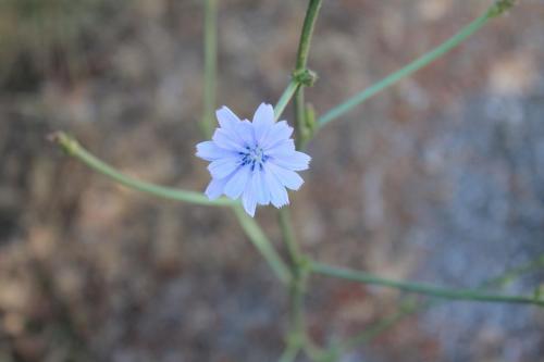 2017-06-26 10-46-38.JPG