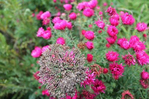 2015-10-01 17-12-36.JPG