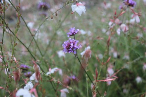 2016-09-06 19-21-31.JPG