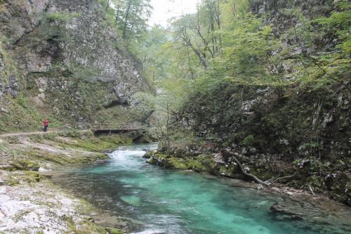 2015-10-02 14-26-52.JPG