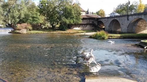 2017-10-09 16-24-05.JPG