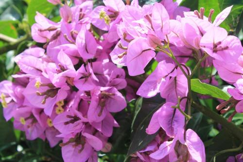 2017-06-30 11-37-15.JPG