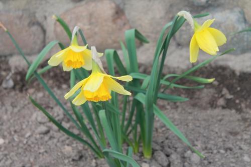 2018-04-19 17-47-39.JPG