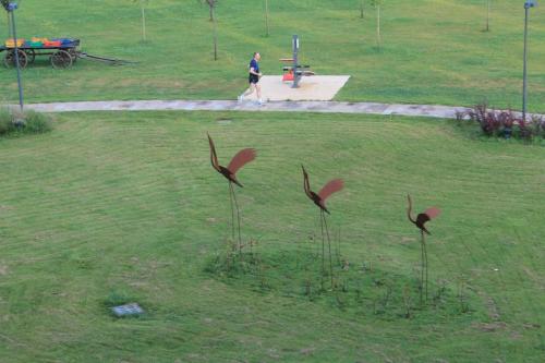 2017-06-30 07-40-17.JPG