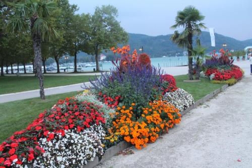 2016-09-15 20-15-20.JPG