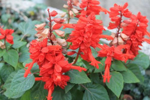 2015-10-02 12-01-16.JPG