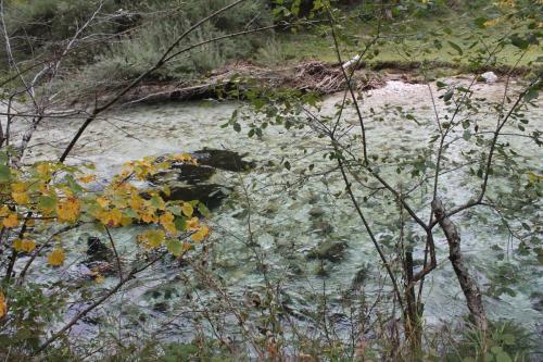 2015-10-02 13-43-58.JPG