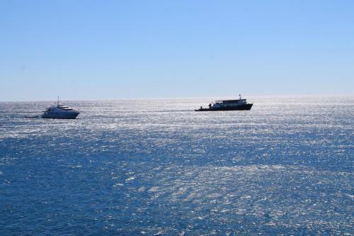 2017-06-29 11-58-24.JPG