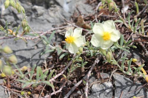 2016-04-24 12-39-10.JPG