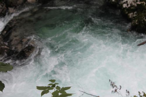 2015-10-02 13-53-09.JPG