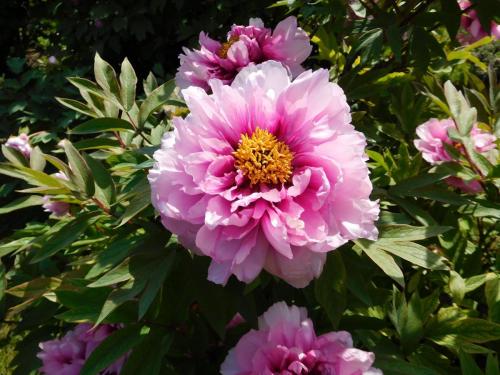 2015-01-01 00-00-00 (106).JPG