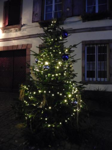 DSCN3632.JPG