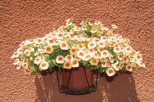 2017-06-25 15-26-52.JPG