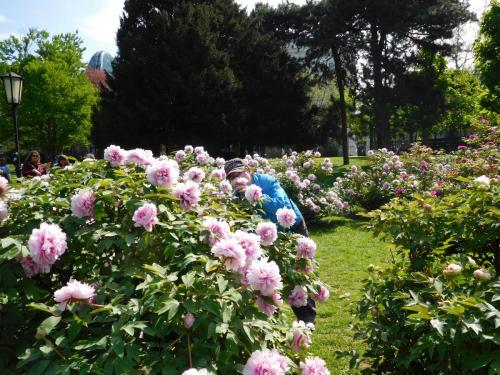 2015-01-01 00-00-00 (139).JPG