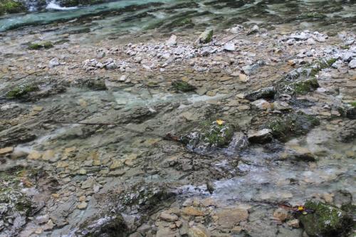 2015-10-02 14-17-32.JPG