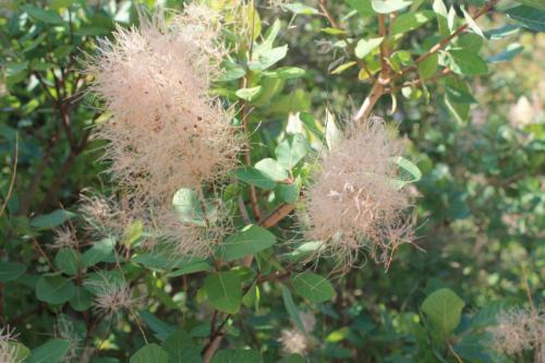 2017-06-26 10-46-24.JPG