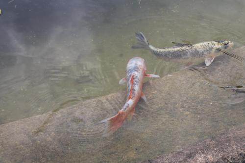 2017-06-28 14-25-32.JPG