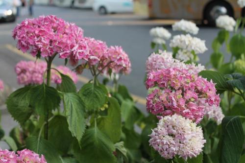 2017-06-23 20-11-47.JPG